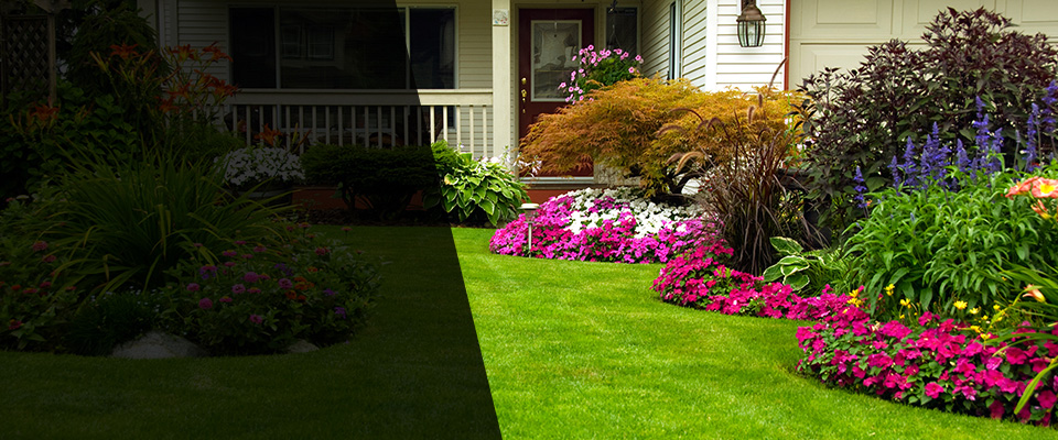 Deland Landscapers